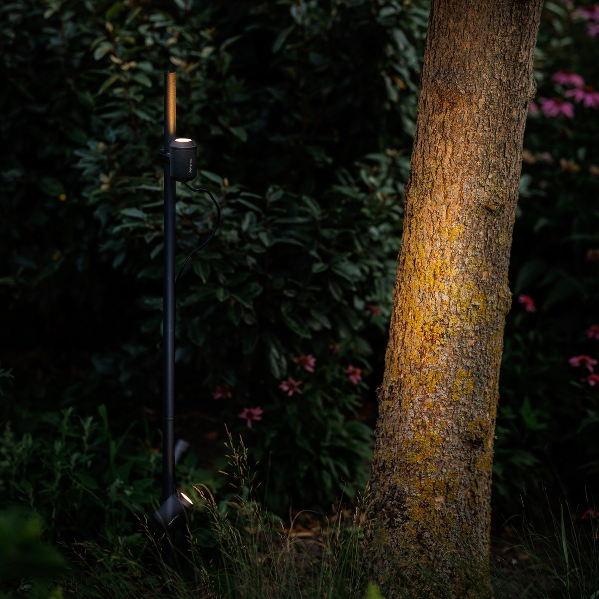 Juno Tube – Gartenstrahler – Bild 2